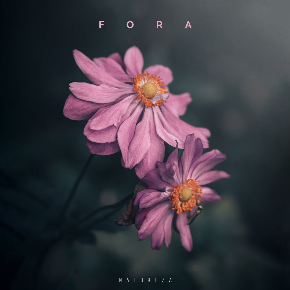 Picture of Fora