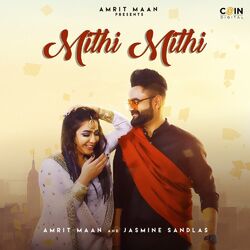 Cover of MIthi Mithi