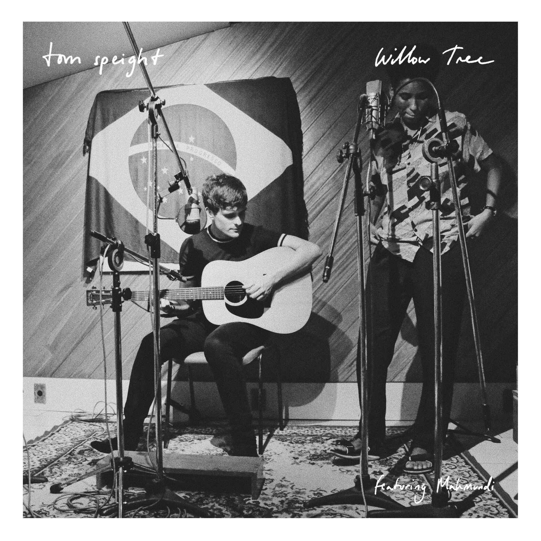Album cover of Willow Tree (Acoustic)