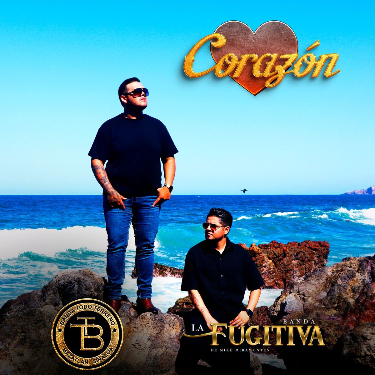 Album cover of Corazón