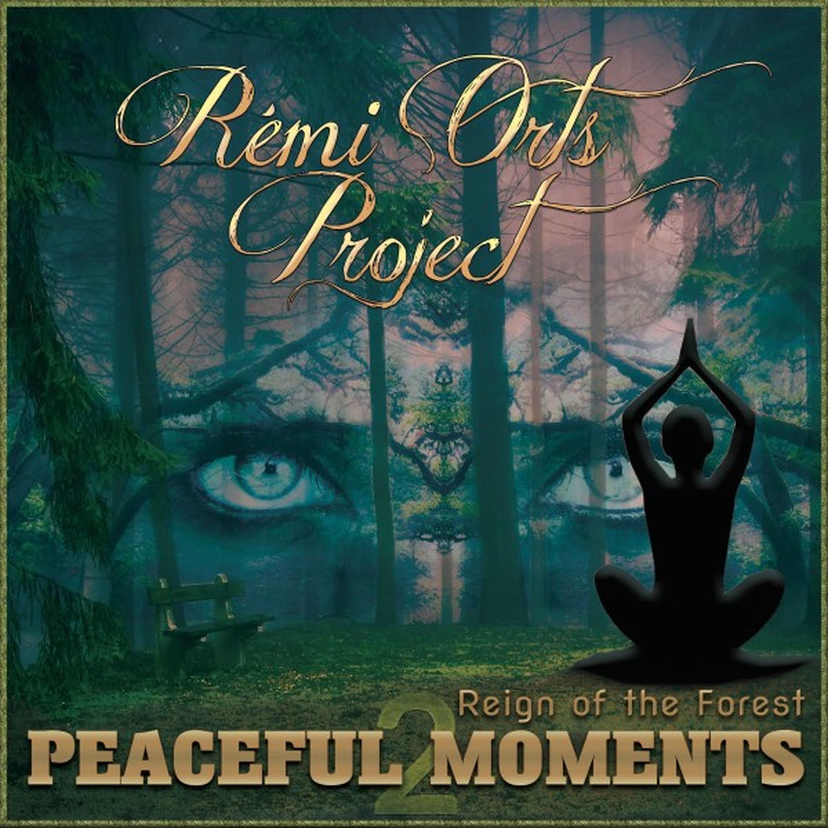 Album cover of Peaceful Moments (Reign of the Forest)