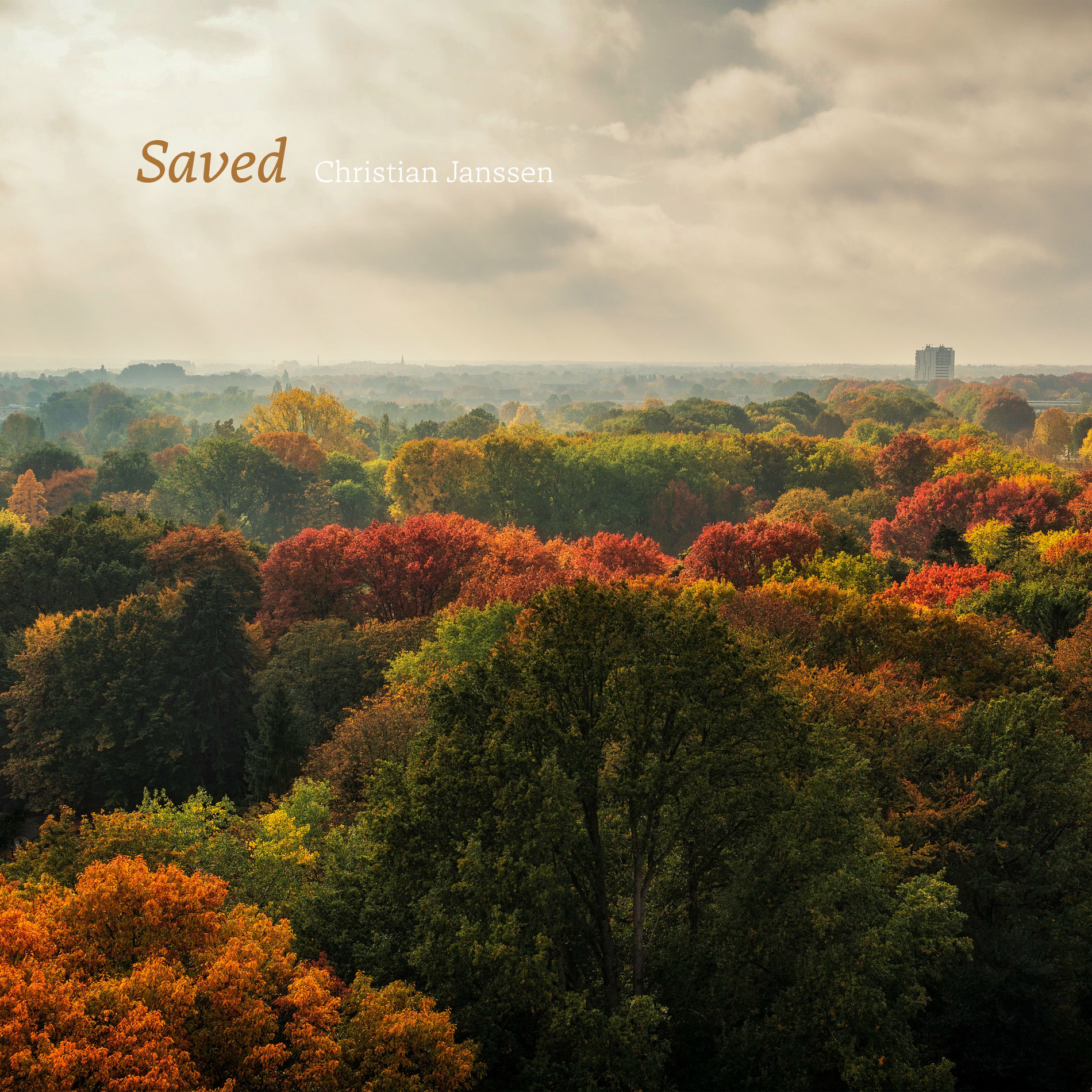 Album cover of Saved