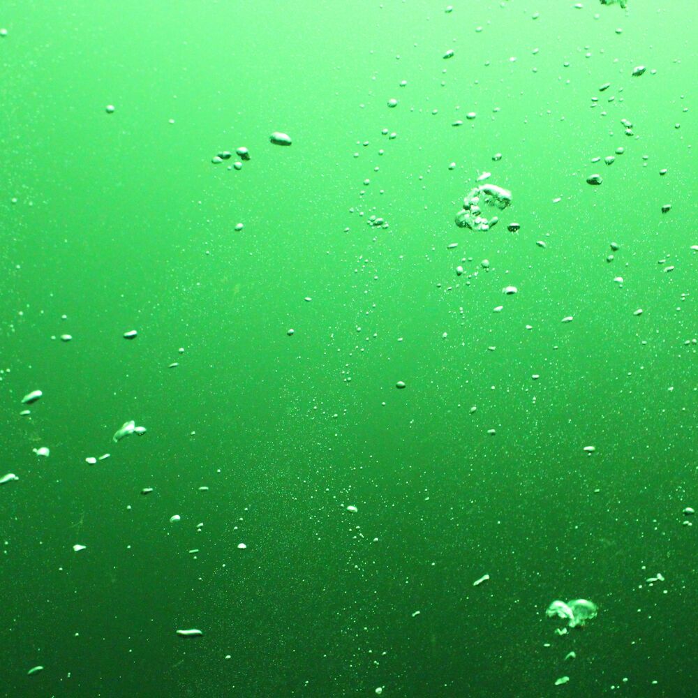 Picture of The Ambergris Threnody (Music for Installations)