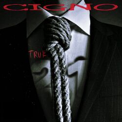 Cover of True 21