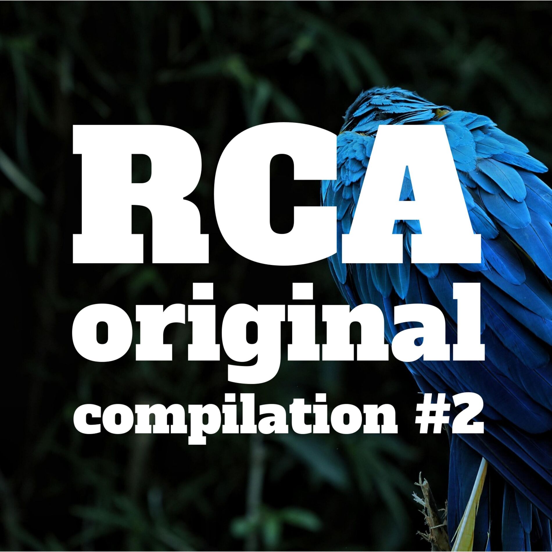 Album cover of RCA Original Compilation #2