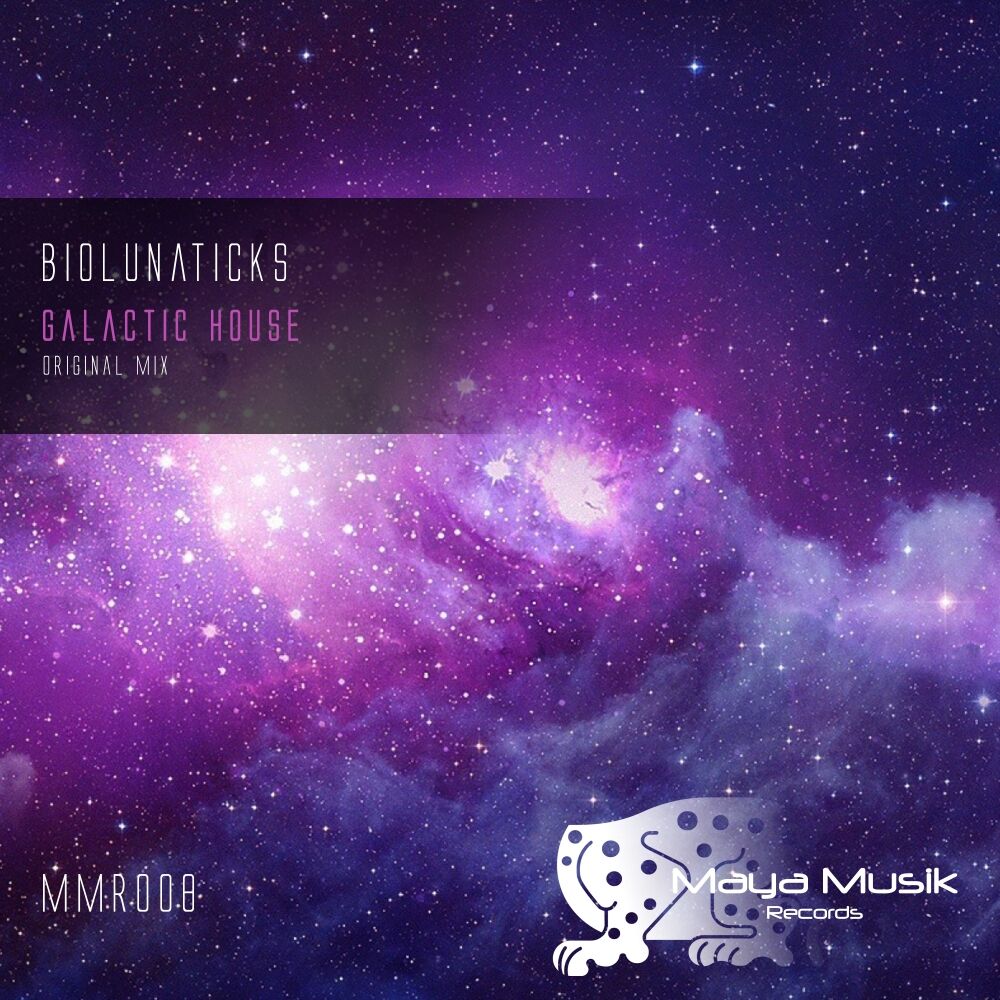 Picture of Galactic House