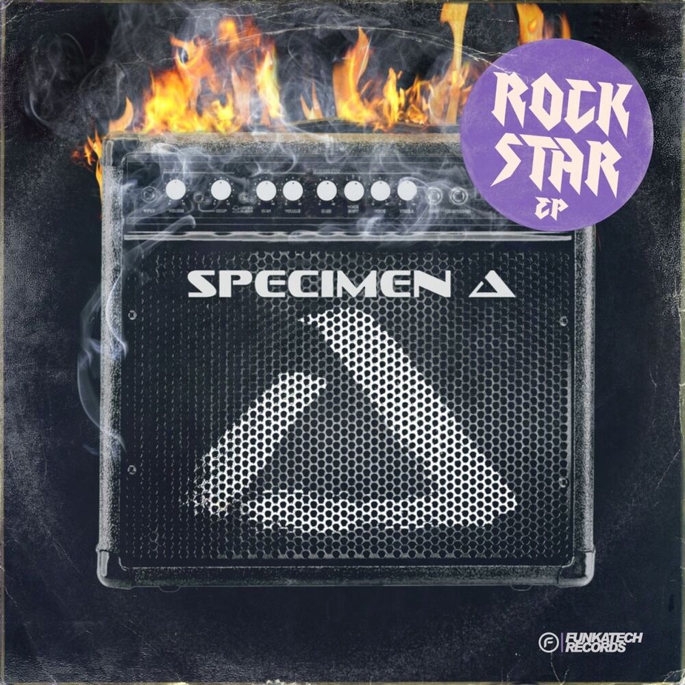 Picture of Rock Star EP