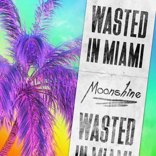 Descargar Wasted in Miami - Moonshine MP3