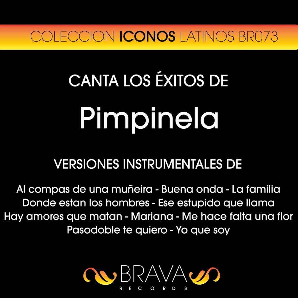 Picture of Canta los Exitos de Pimpinela