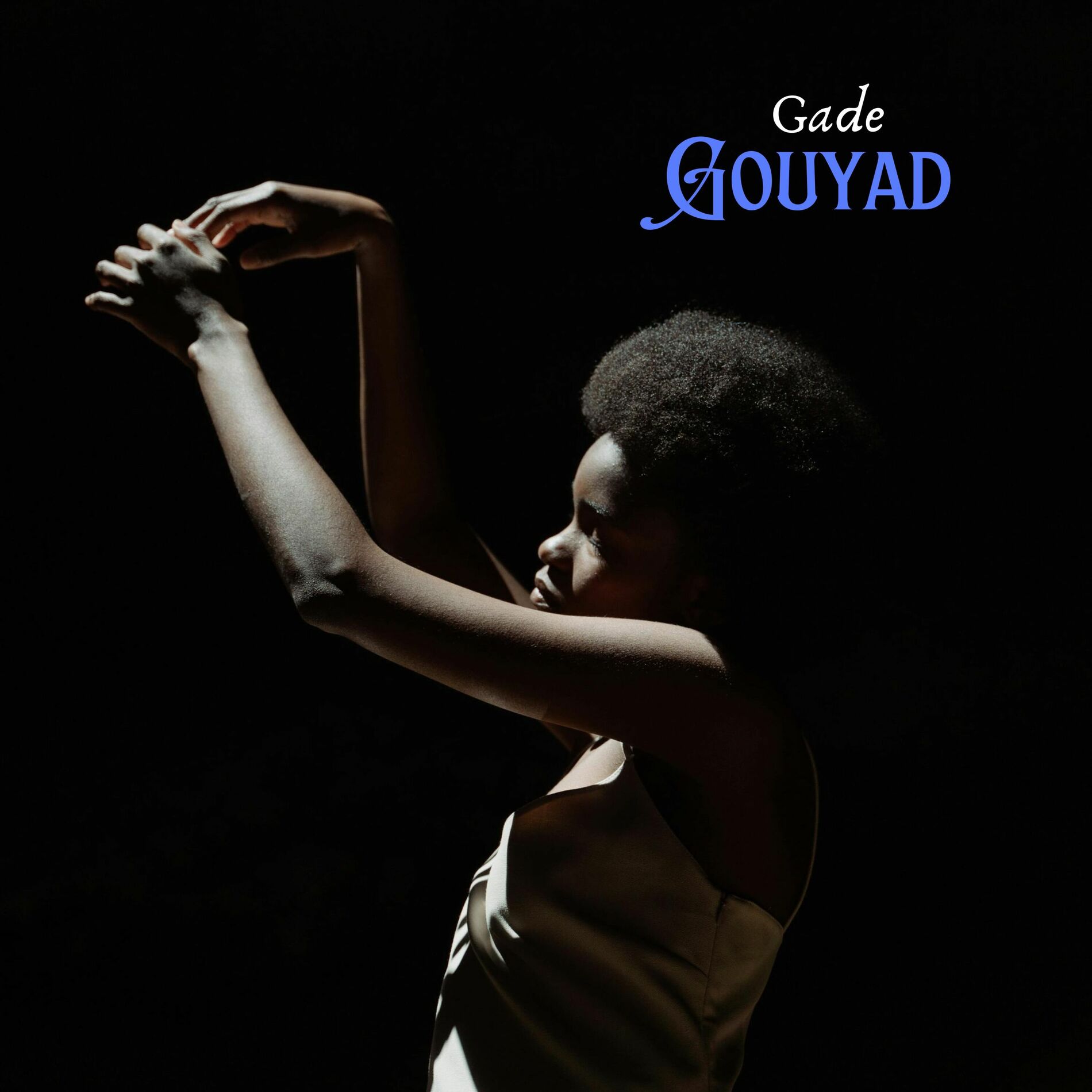 Album cover of Gade Gouyad