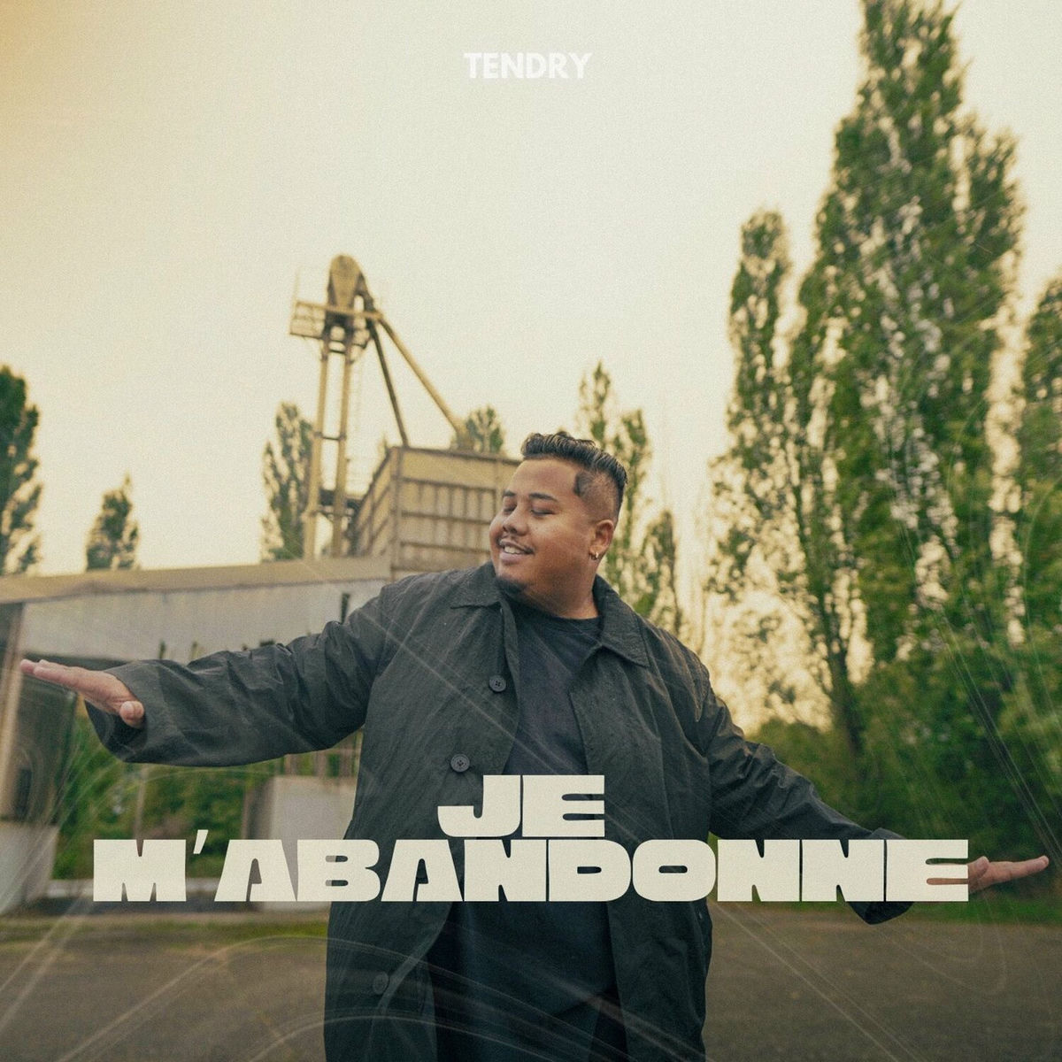 Album cover of Je m’abandonne