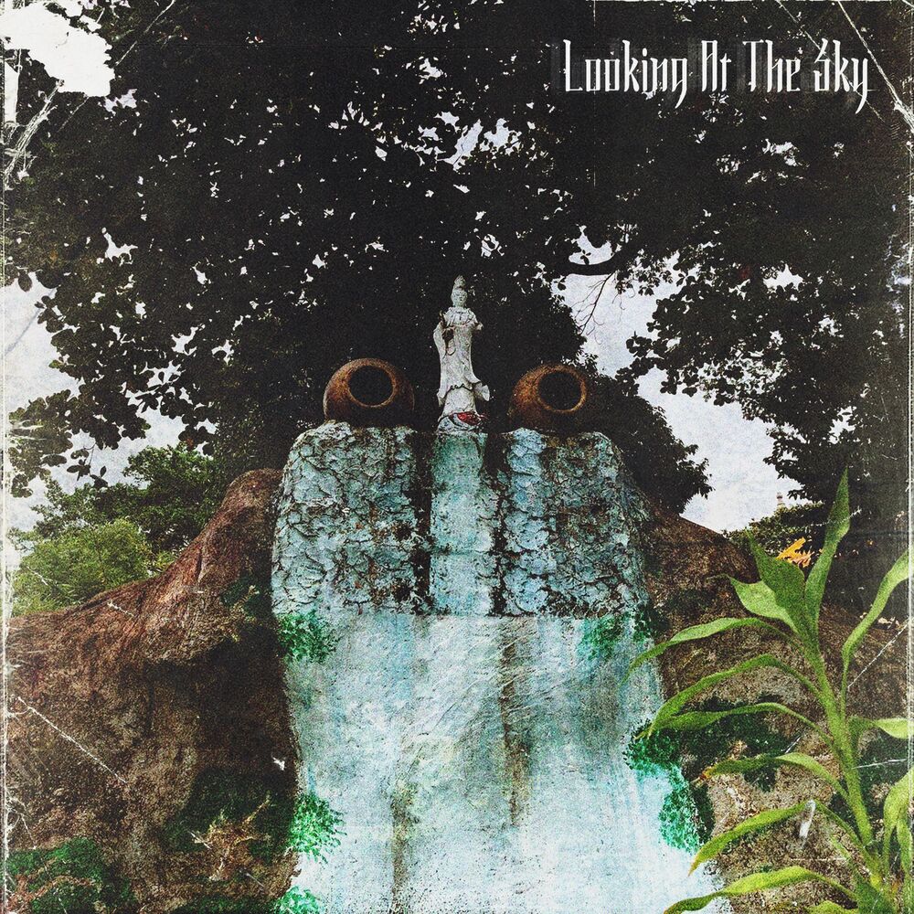Picture of Looking at the Sky