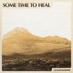 Cover of (Hurting Takes) Some Time to Heal