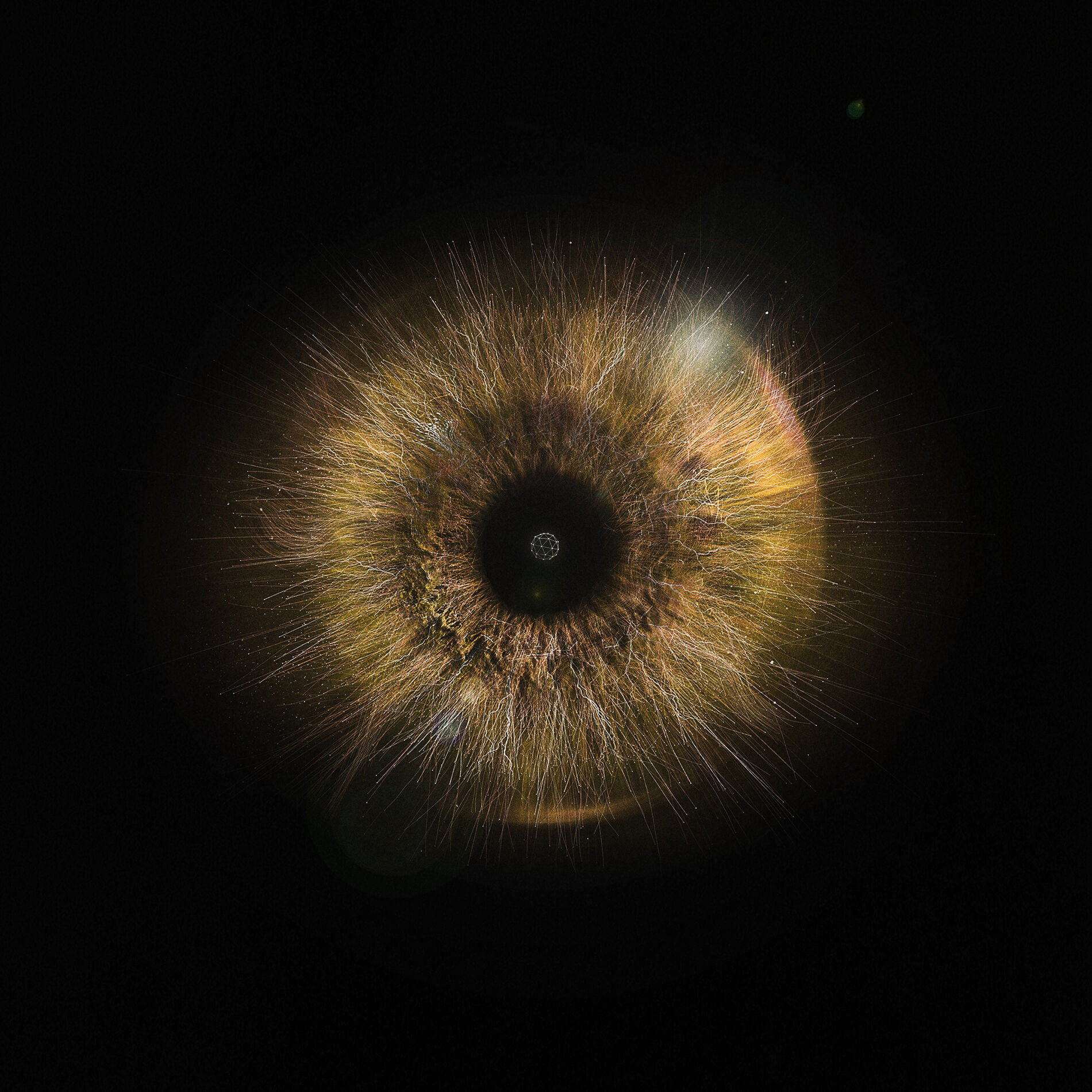 Album cover of Lapso
