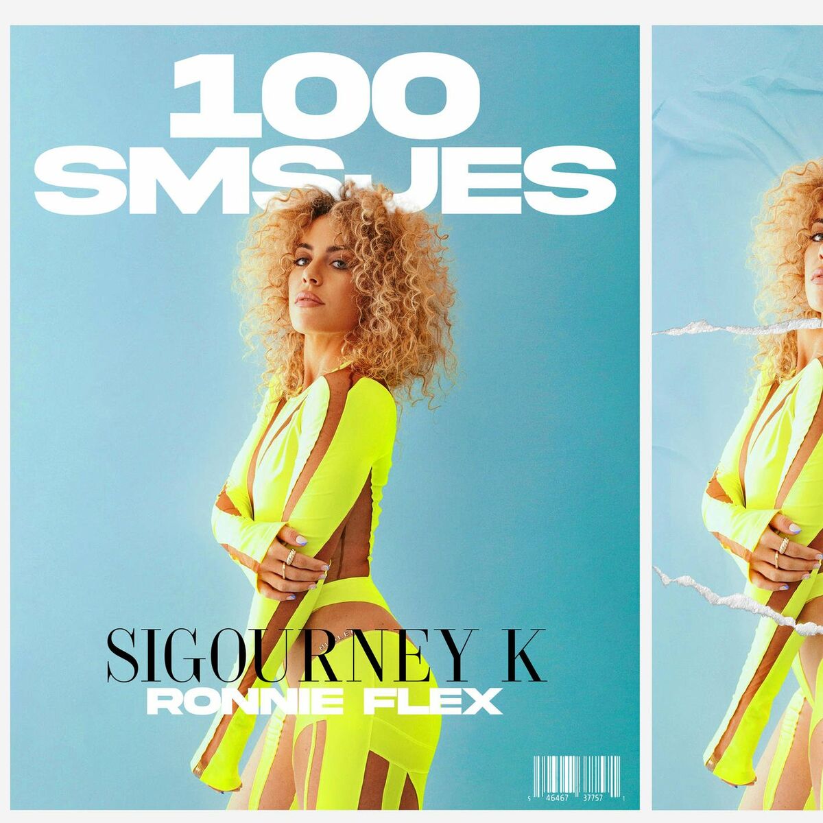 Album cover of 100 SMSjes