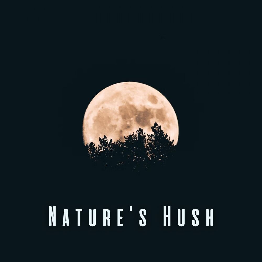 Picture of Nature's Hush: Binaural Sounds for Baby's Peaceful Dreams
