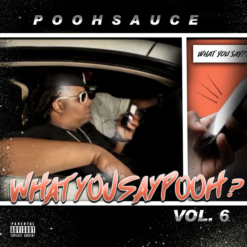 Picture of Whatyousaypooh, Vol. 6