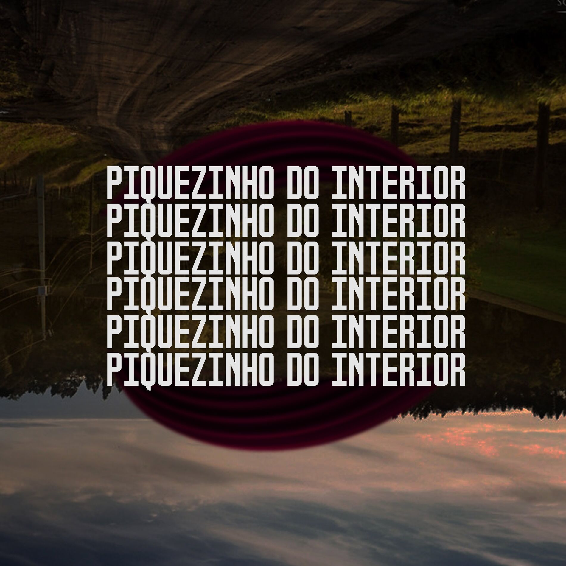 Album cover of Piquezinho do Interior