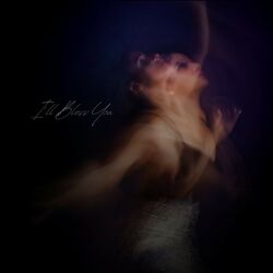 Cover of I'll Bless You