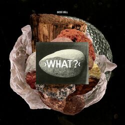 Cover of What?