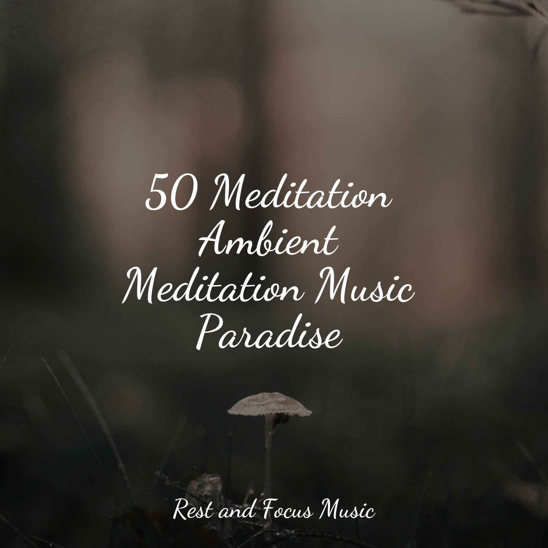Album cover of 50 Meditation Ambient Meditation Music Paradise