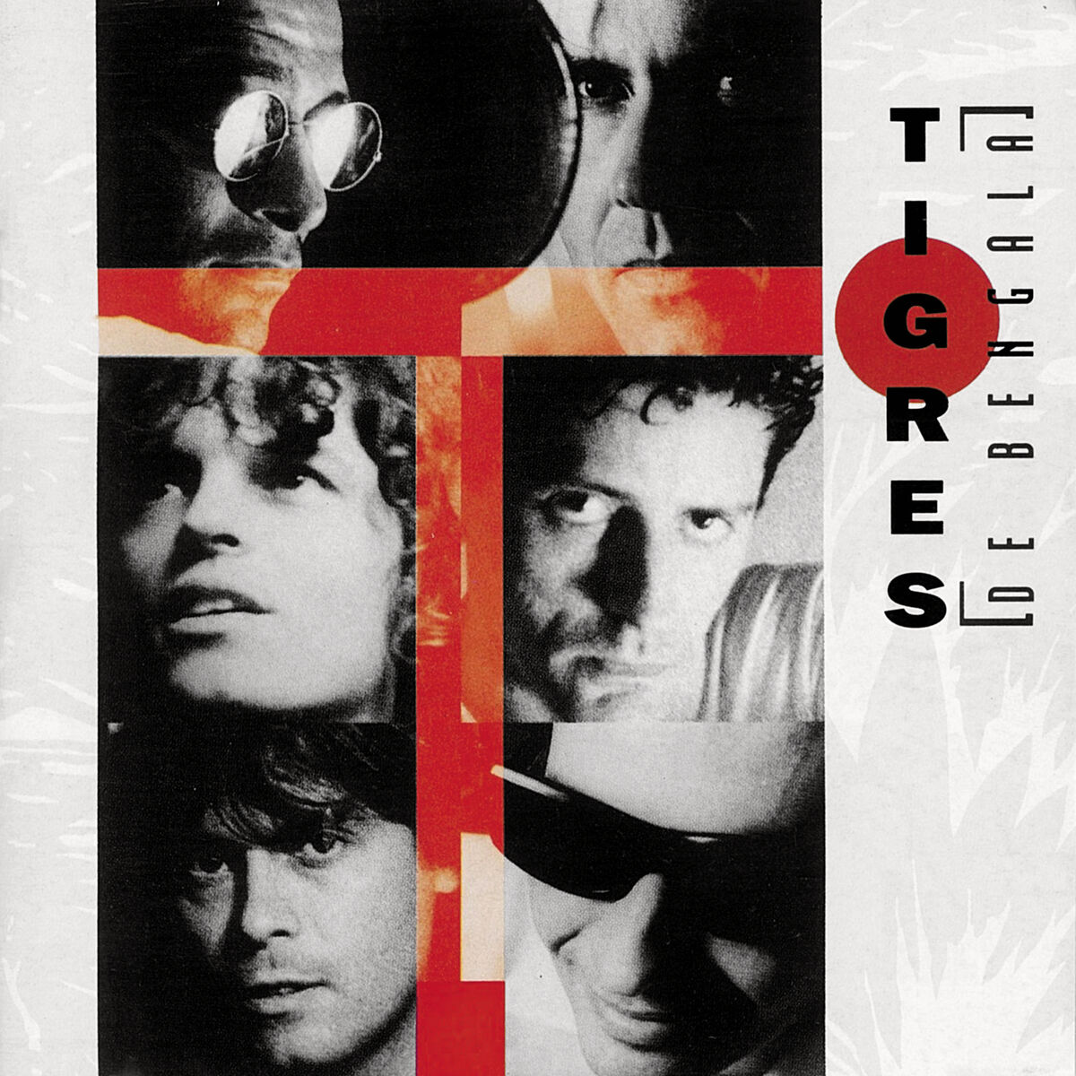 Album cover of Tigres De Bengala