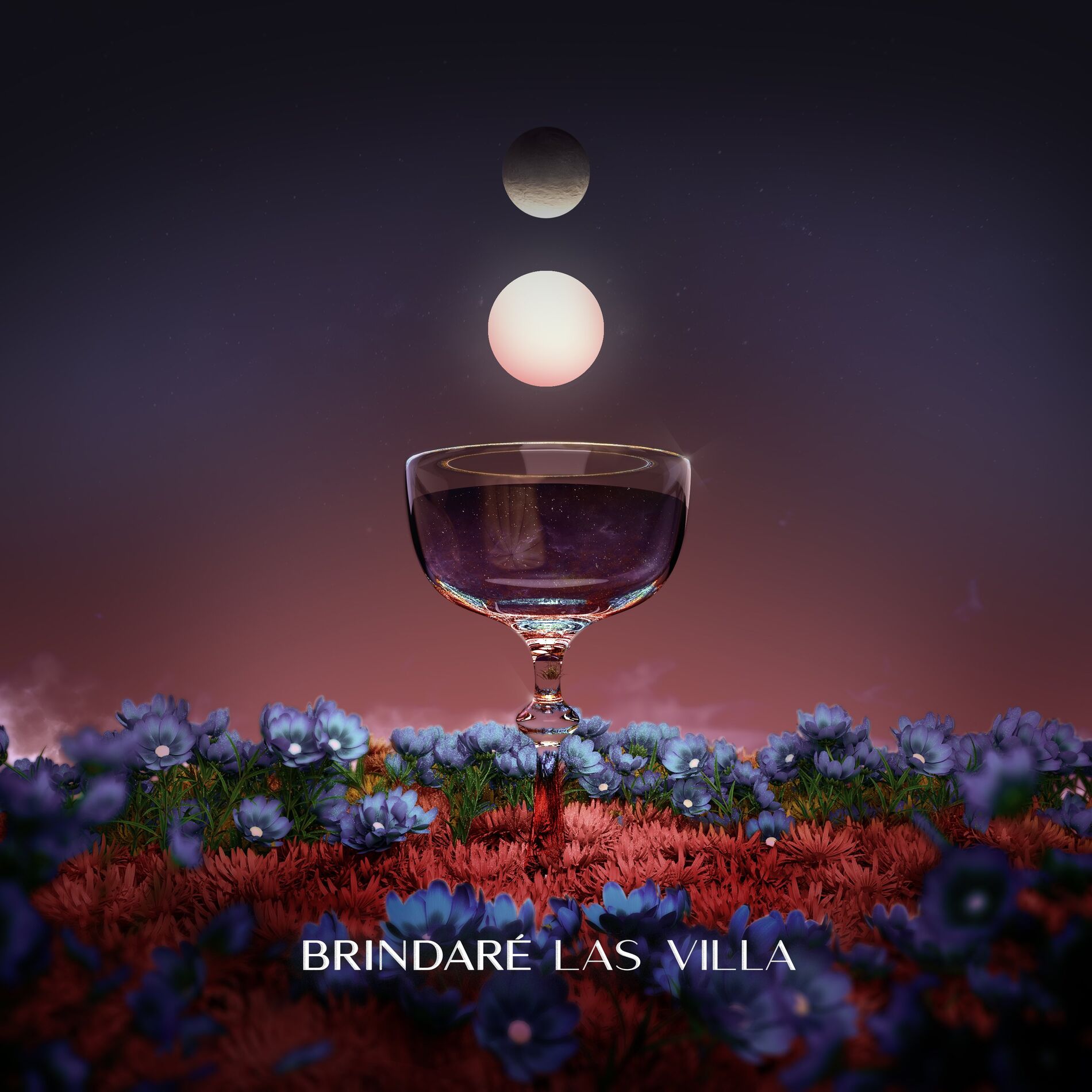 Album cover of Brindaré