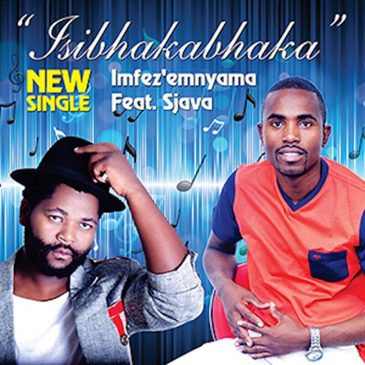 Album cover of Isibhakabhaka