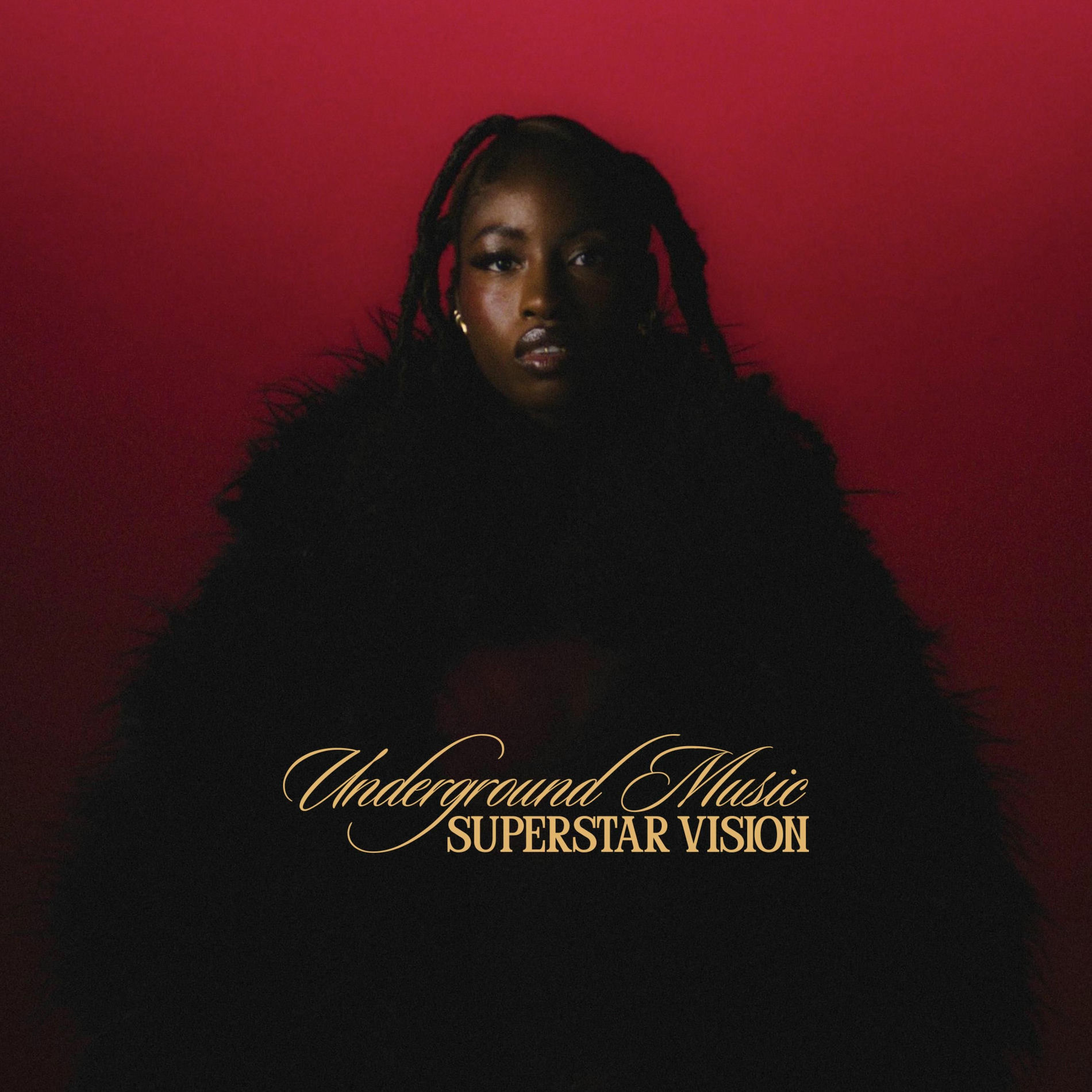 Album cover of Trop de Problèmes