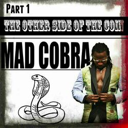 Cover of The Other Side of the Coin, Part 1
