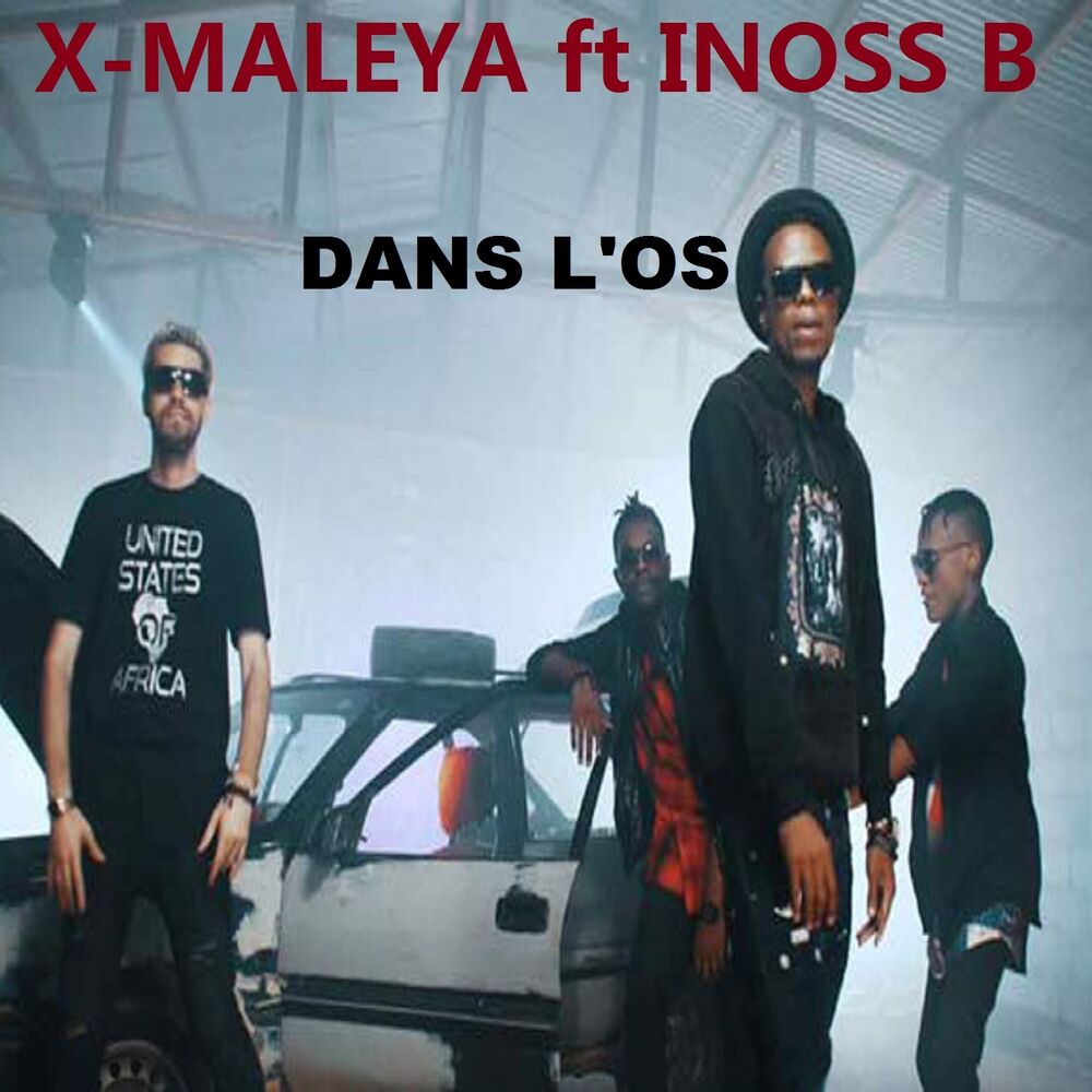 Picture of Dans l'os