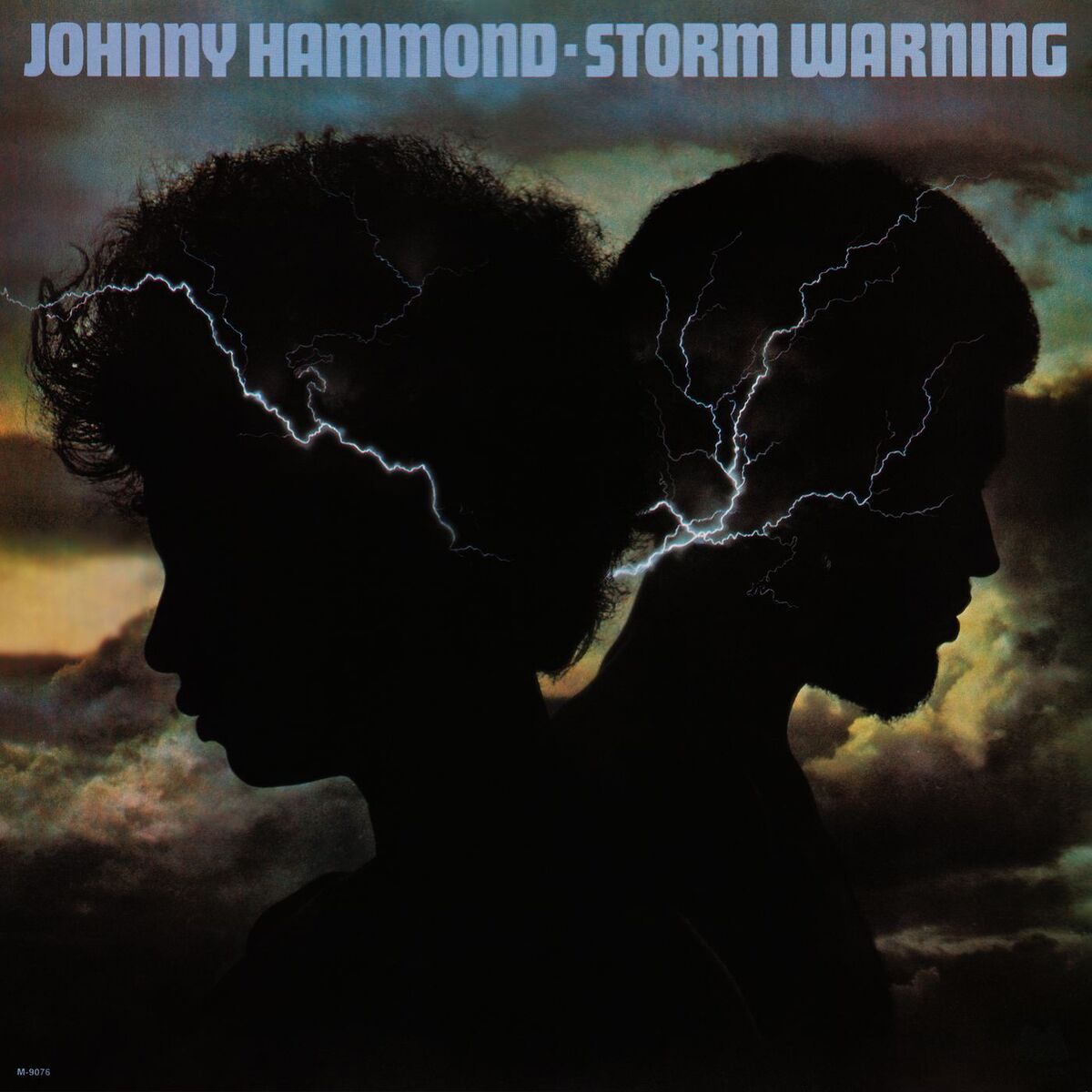 Album cover of Storm Warning (Remastered 2025)