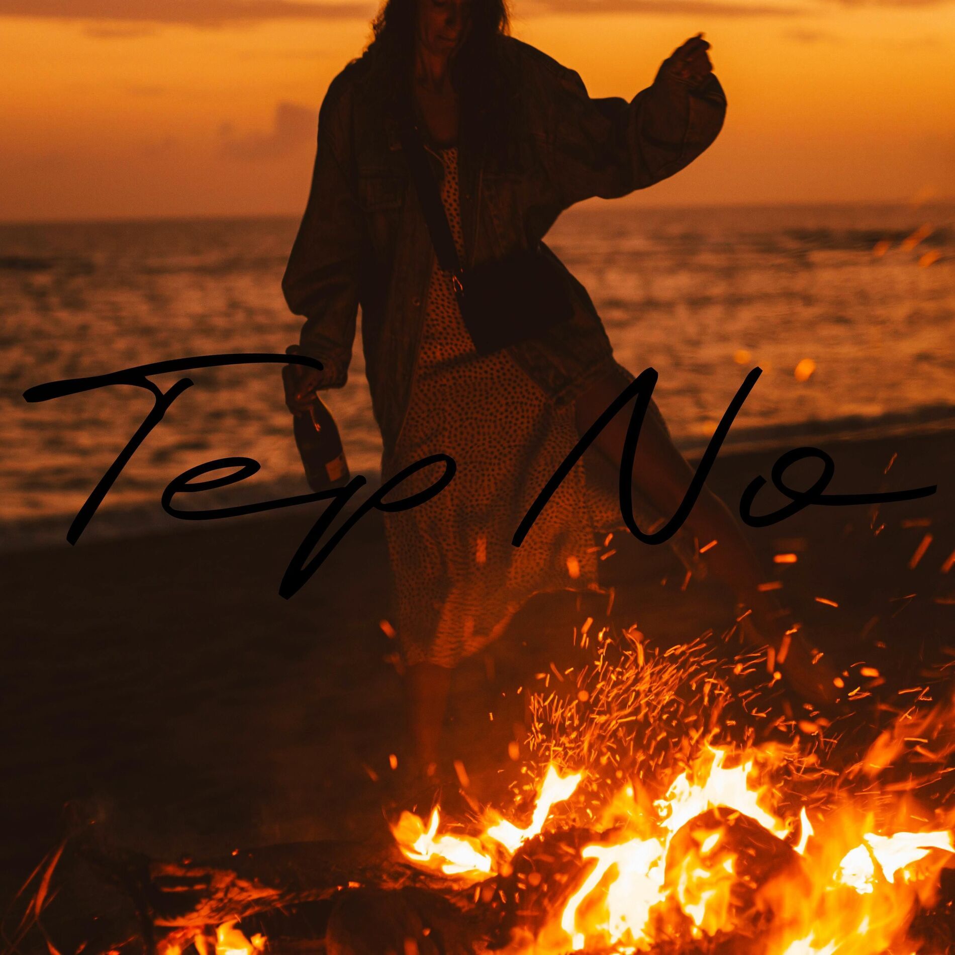 Album cover of Heat Ignited