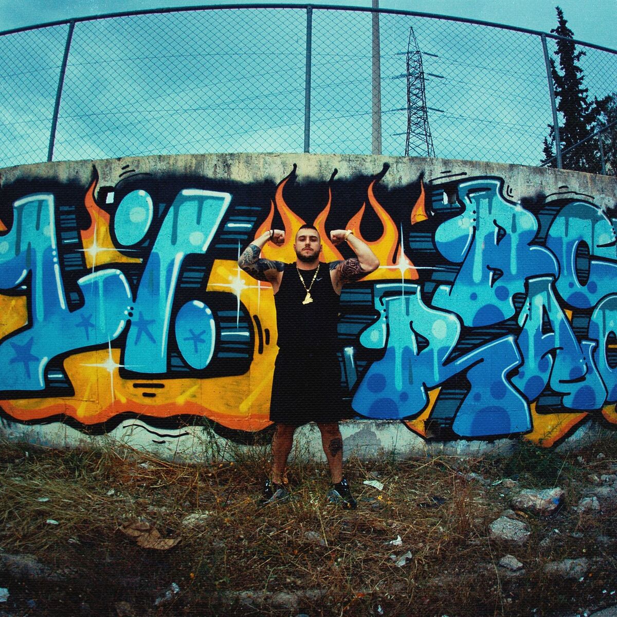 Album cover of D%SCO