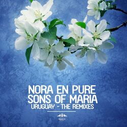 Cover of Uruguay - The Remixes
