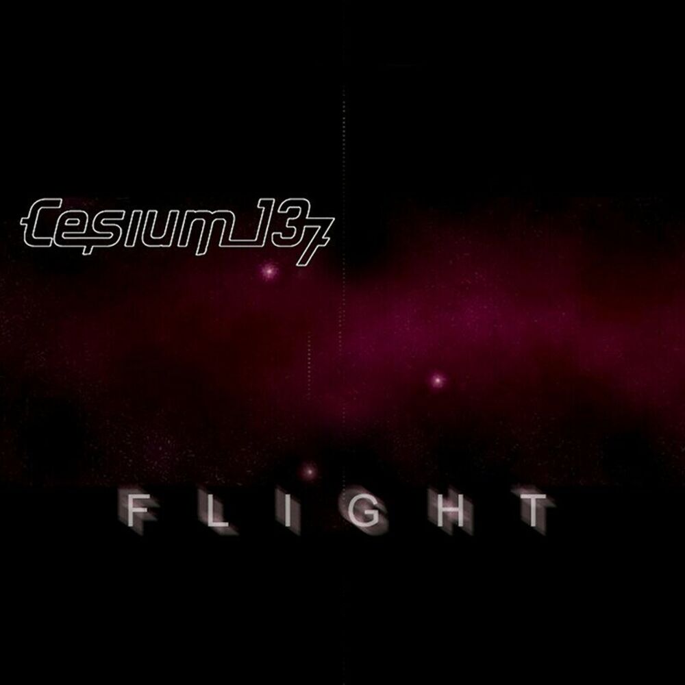 Picture of Flight