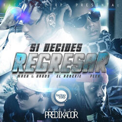 Cover of Si Decides Regresar