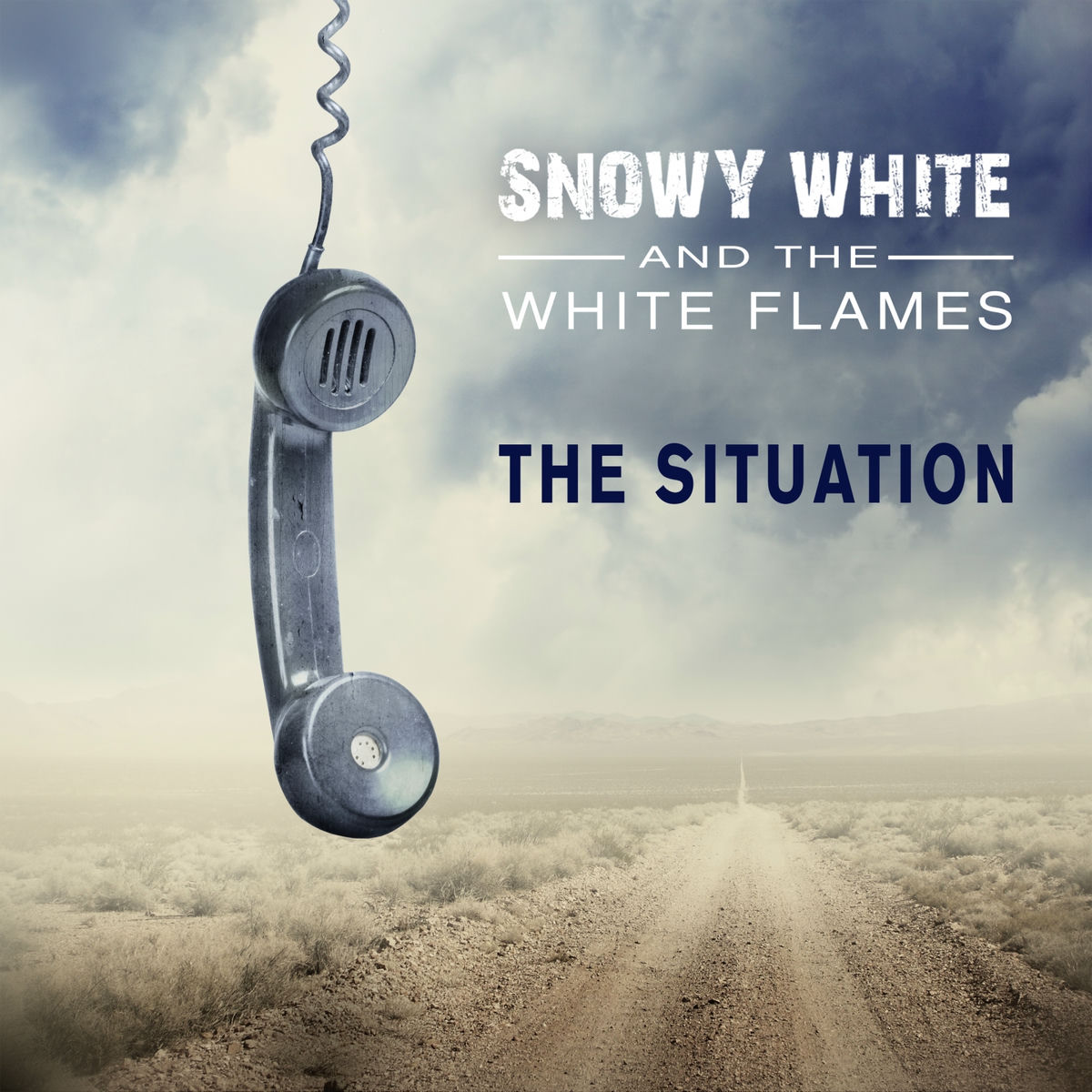 Album cover of The Situation