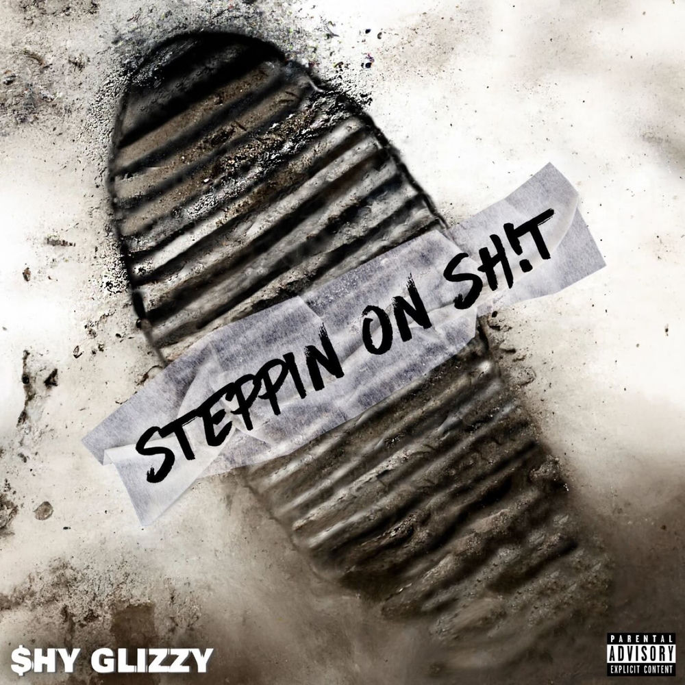 Steppin On Sh!t cover
