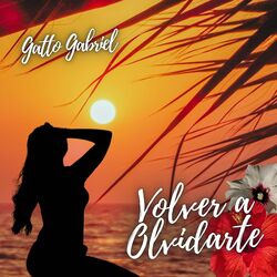 Cover of Volver a Olvidarte