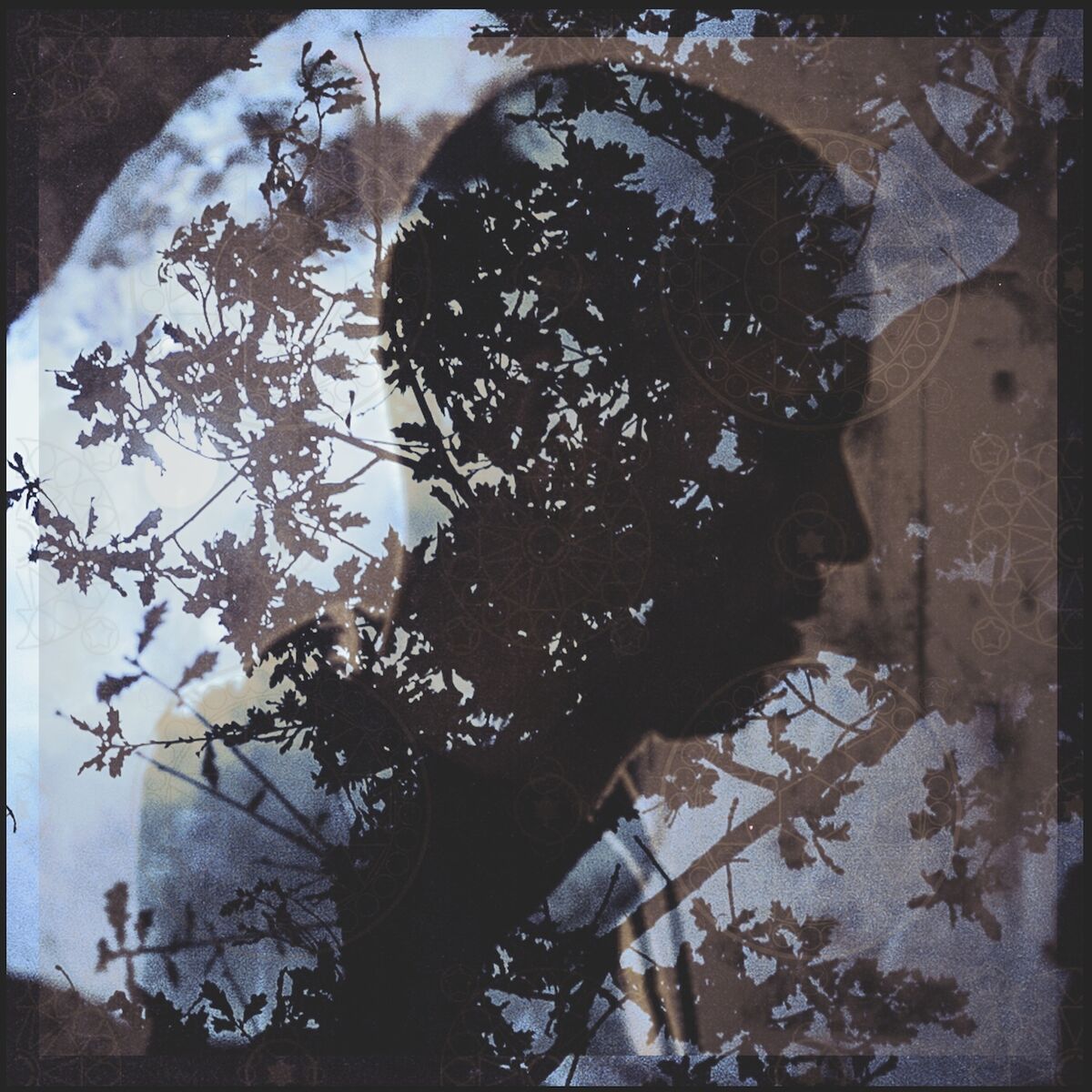 Album cover of Últimos Melhores Dias