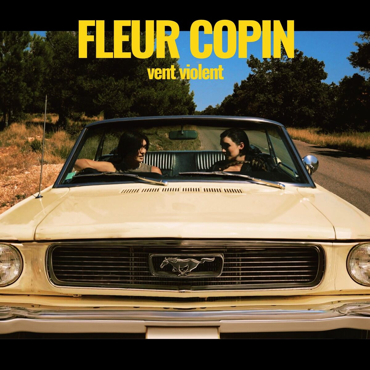 Album cover of Vent violent