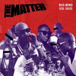 Cover of The Matter