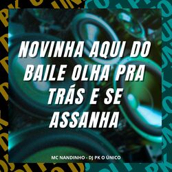 Cover of Novinha Aqui do Baile Olha pra Trás e Se Assanha