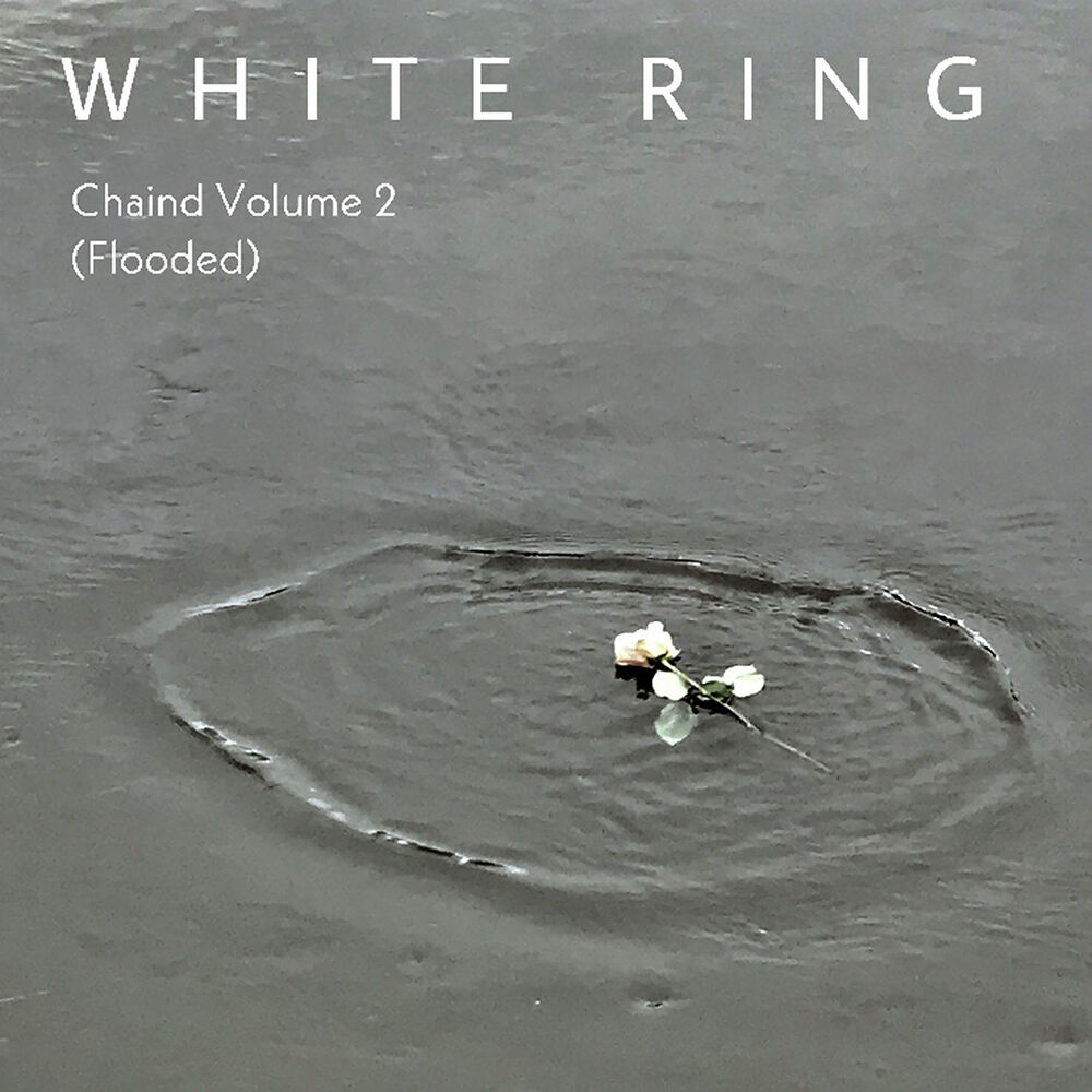 Picture of Chaind Volume 2 (Flooded)