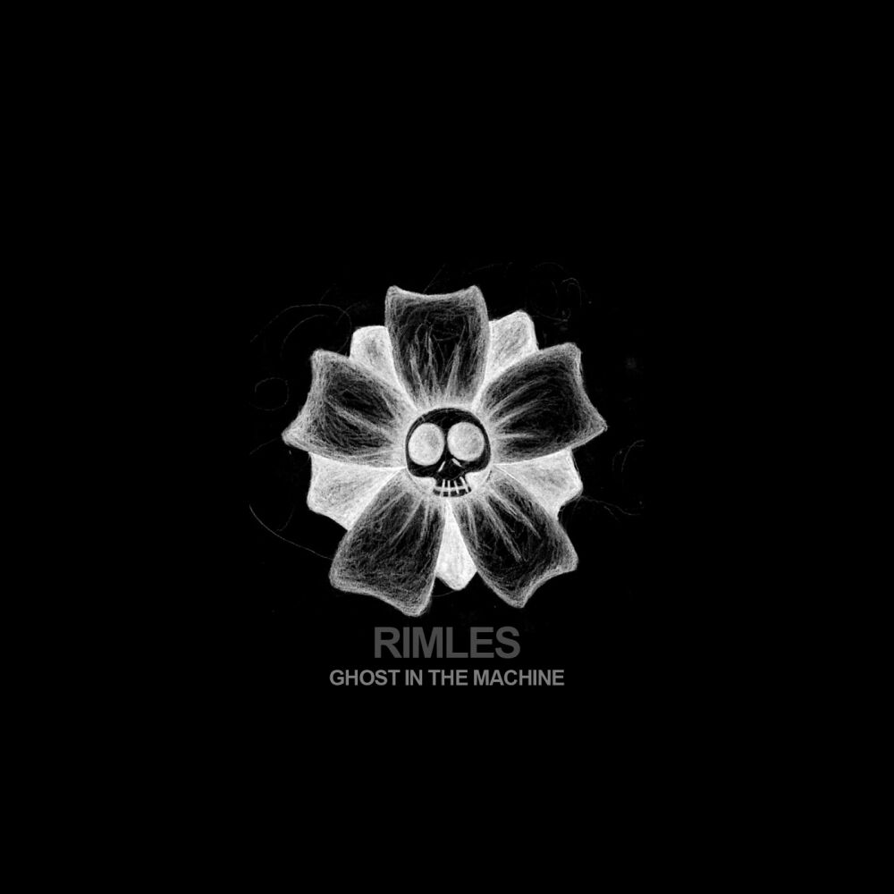 Picture of Ghost In The Machine