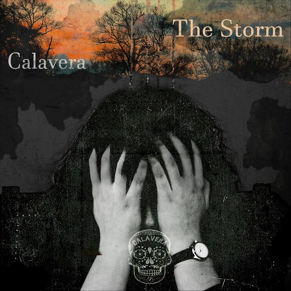 Picture of The Storm