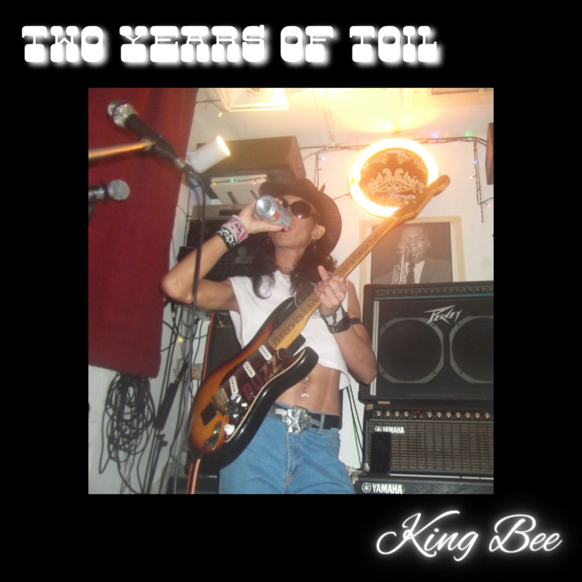 Album cover of Two Years of Toil