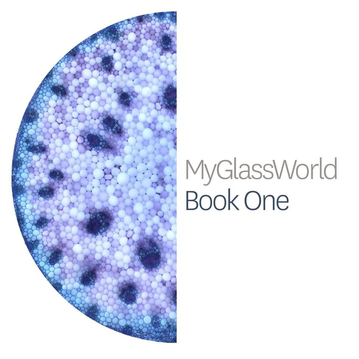 Album cover of Book One