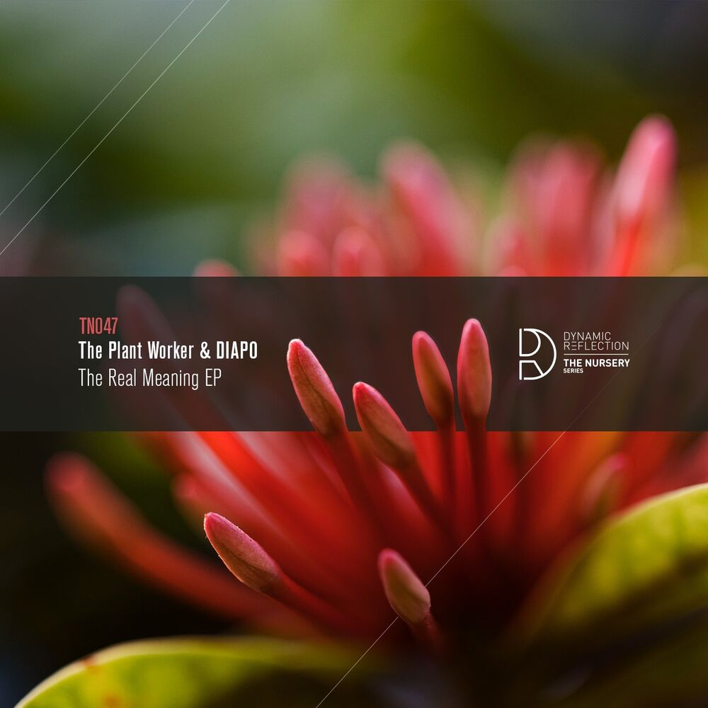 Picture of The Real Meaning EP